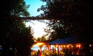 Camping Palouki Amaliada Peloponnese Greece