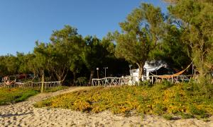 Camping Palouki Amaliada Peloponnese Greece