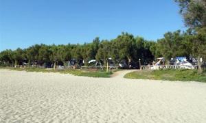 Camping Palouki Amaliada Peloponnese Greece