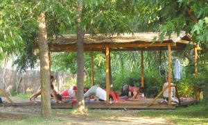 Camping Palouki Amaliada Peloponnese Greece