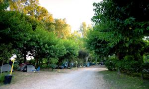 Camping Palouki Amaliada Peloponnese Greece