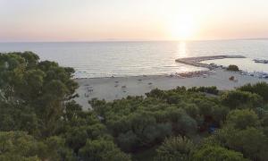 Camping Palouki Amaliada Peloponnese Greece