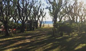 Camping Palouki Amaliada Peloponnese Greece