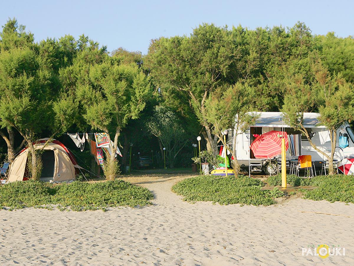 camping palouki amaliada peloponesses greece